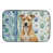 American Staffordshire terrier fauve