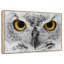 Chouette audacieuse-1571542400-1571542414