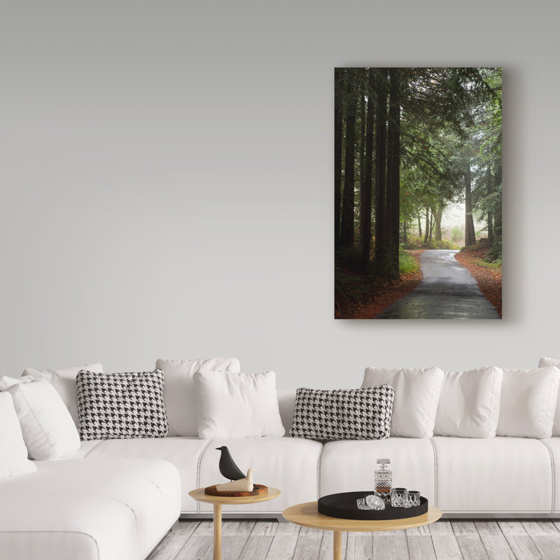 Breonna «Forest Road», reproduction de photo sur toile tendue, H 47 po x l 30 po x P 2 po