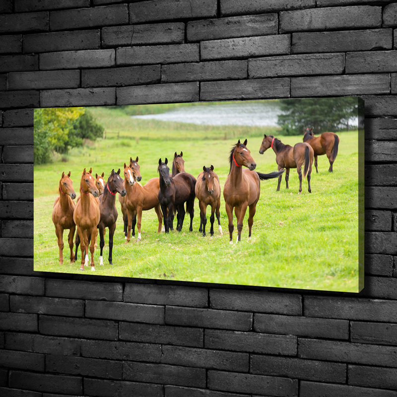 Herd Of Horses In The Meadow - No Frame Print on Canvas