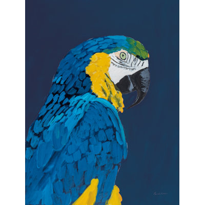 " Blue And Gold Macaw "