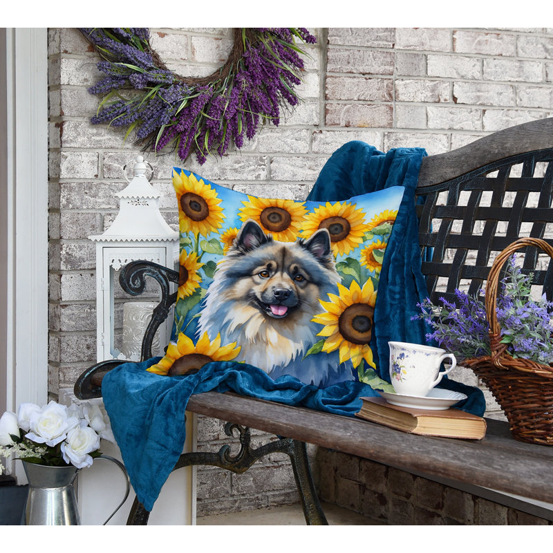 Other/No Pattern Outdoor Throw Pillow, 18" H x 18" W