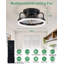  Ventilateur de plafond avec lumières, ventilateurs de plafond à profil bas avec lumières et télécommande, lumière de ventilateur encastrée à DEL, Fandelier sans pales moderne pour la chambre à coucher avec application, noir 12 po