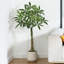 Adcock Artificial Ficus Tree with Round White Planter, Pre Potted Faux Money Tree for Home Decor-298643299