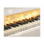 Wall Art on Canvas-89442237