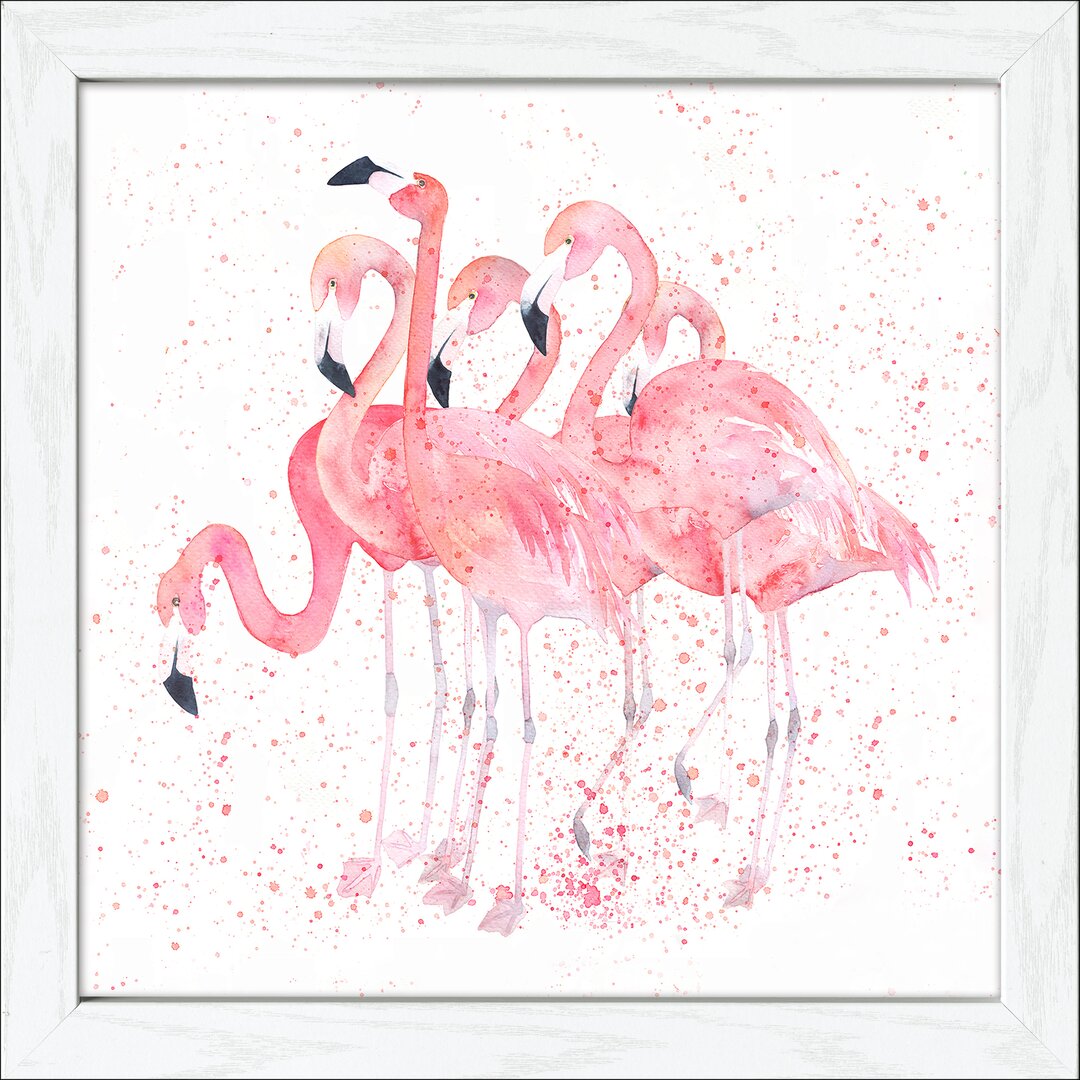 Gerahmtes Poster Flamingo Family