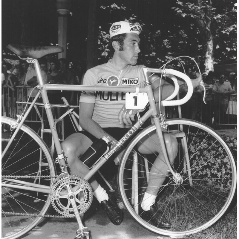 Incomparable Eddy Merckx IMA-P336, H 15 po x l 15 po