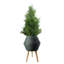 Cachepot