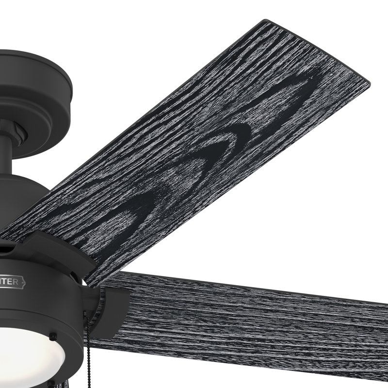 Ventilateur de plafond à 5 pales de 44 po avec ensemble de lumières DEL et chaînette Erling, Noir mat