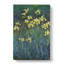 Yellow Irises by Claude Monet - Wrapped Canvas-61880932