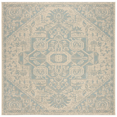 Danya Aqua/Cream Indoor/Outdoor Area Rug