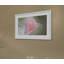 Single Picture Frame Print-20133611