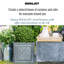 Stone Planter Box-314284908