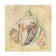 Art sur toile «bolologi Cheri Blum Shells III»-105718087