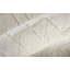 Rectangle Kentoria Area Rug-1991617433