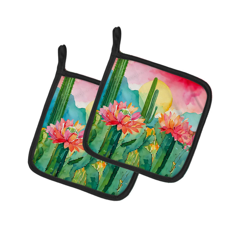Paire de cactus Arizona Saguaro