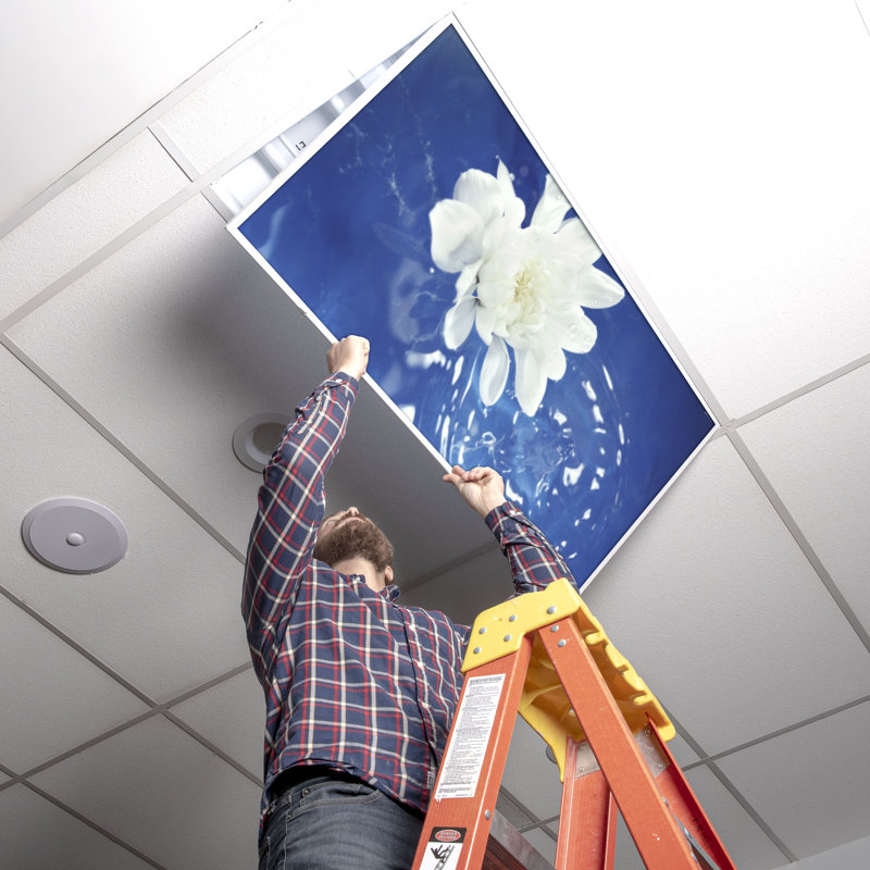 Octo Lights - Fluorescent Light Covers - Flexible Decorative Light Diffuser Panels - Flower - For Classrooms And Offices - Flower 004