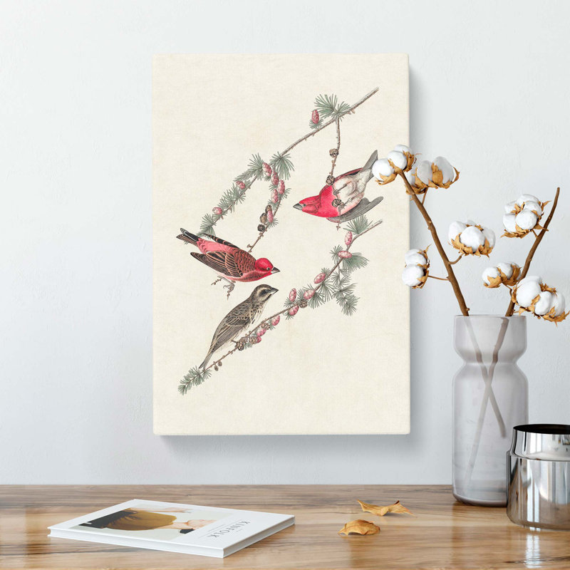 Purple Finch Birds by John Audubon - Wrapped Canvas Print, 50cm H x 35cm W x 3cm D