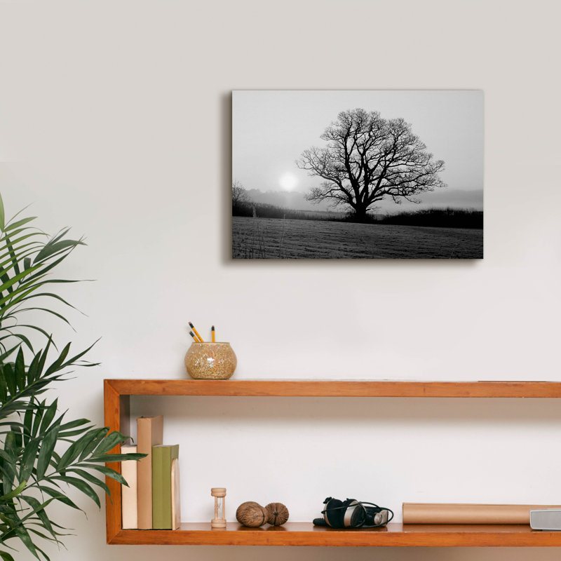 «Meadow Tree» par PhotoINC Studio, H 12 po x l 18 po x P 0,75 po