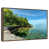 Floating Frame Walnut