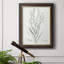 Botanical Study in Sage I - Peinture sur toile encadrée-1907806768