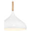Luminaire suspendu 1 lumière Rosealina-1233928298