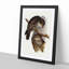 Winking Owls by Elizabeth Gould - Picture Frame Painting Print-55613074-55613073