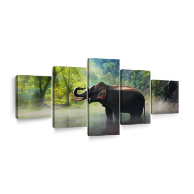 " Wild Elephant " 5 - Pieces