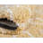Walsenburg Oriental Indoor Rug