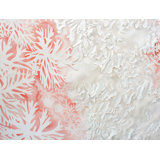 Organic Coral Cool Cotton Blend Comforter