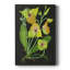 Telipogon Caulescens II - peinture sur toile tendue-1821683469