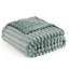 Aanuoluwa Throw Blanket-1524221161