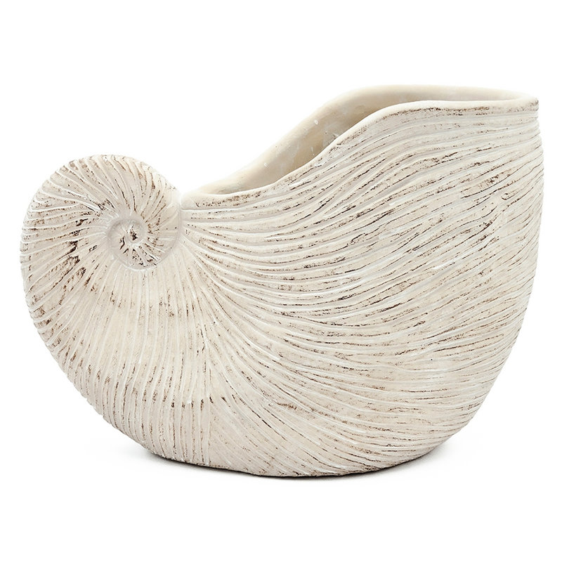 Textured Beige Sand And Cement Shell Planter Ideal For Succulents Bringing Serenity To Your Study 11.5X6.7X7.7 Inches With Appearance Neutral Color Herb Display