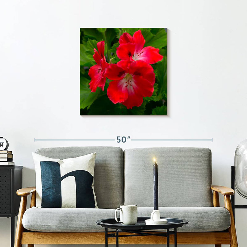 Fleurs d'hibiscus rouges, H 24 po x l 24 po