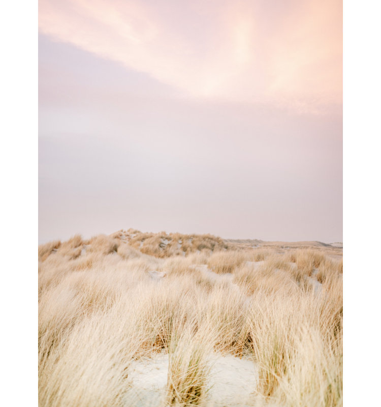 Wrapped Canvas Print, 76.2 cm H x 50.8 cm W