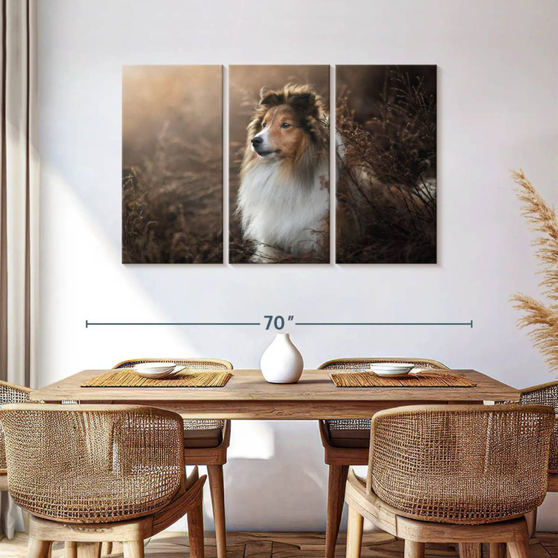 Bramelt, magnifique sheltie, H 36 po x l 57 po