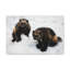 No Frame Print on Canvas-1304710980