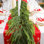 Guirlande de Noël artificielle 9 pi 10 po Norfolk