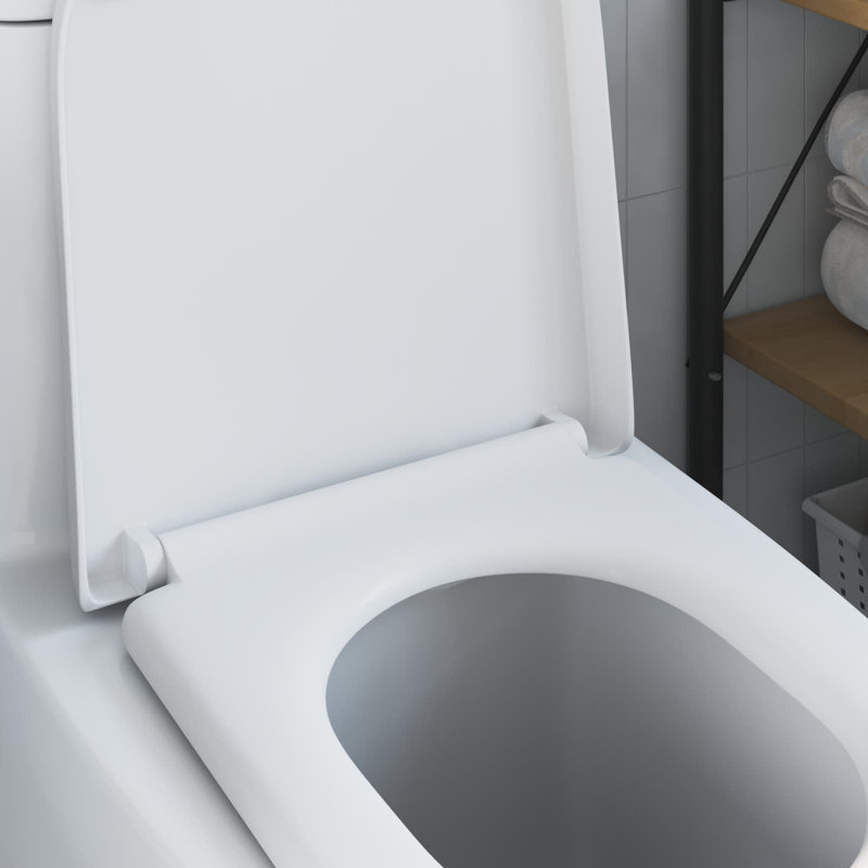 Grey Plastic Standard Adjustable Armrests Toilet Seat Oval, White