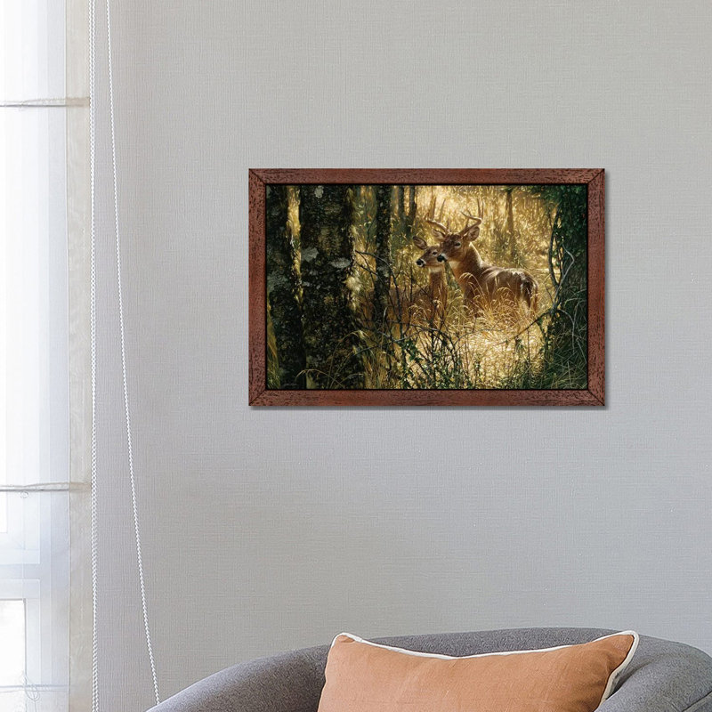 A Golden Moment - Whitetail Deer 1 Piece Floater Frame Wall Art on Canvas, 101.6 cm H x 66.04 cm W, Brown