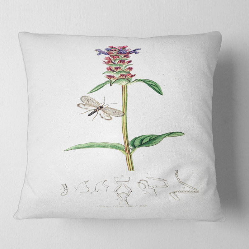 Housse et insert de coussin carré Insectes et plantes II, 16" x 16"