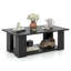 Table basse Table basse moderne à 2 niveaux avec tablette de rangement pour le salon-1489316531