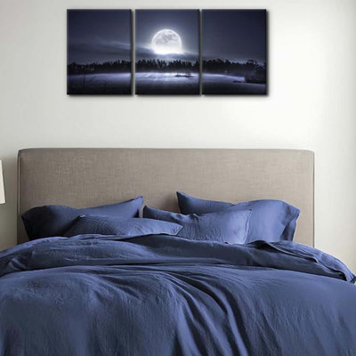 3 Piece Wrapped Canvas Print