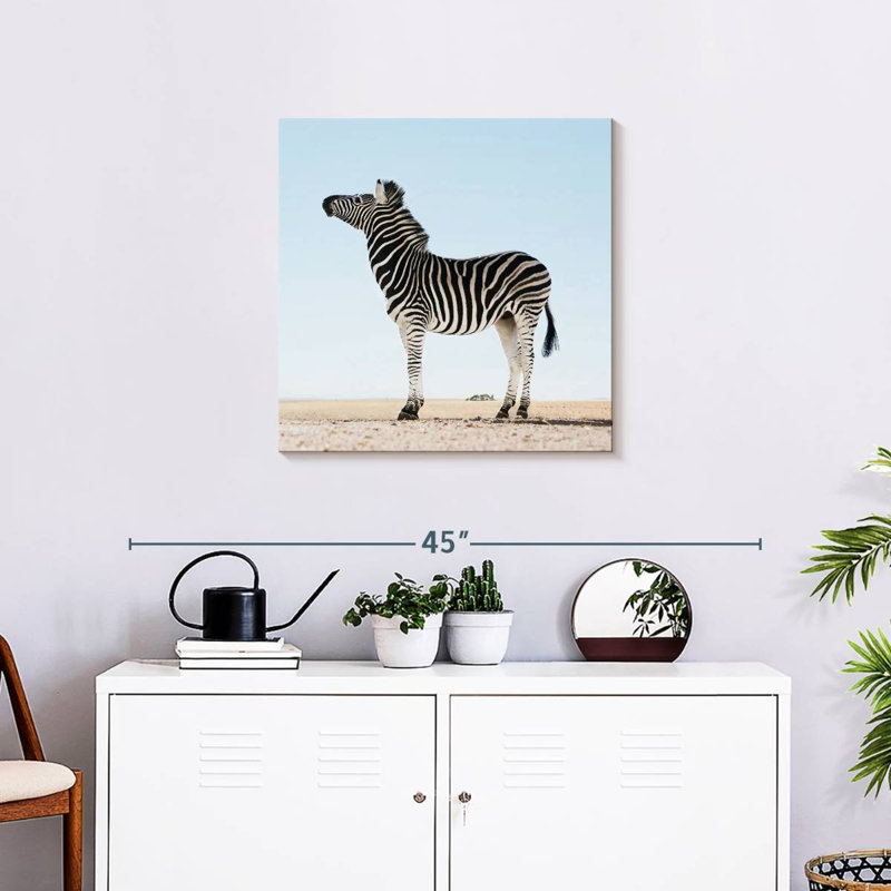 Brampt Moorreesburg Zebra