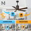 Patricia LED Downrod Ceiling Fan-486079851-486067289