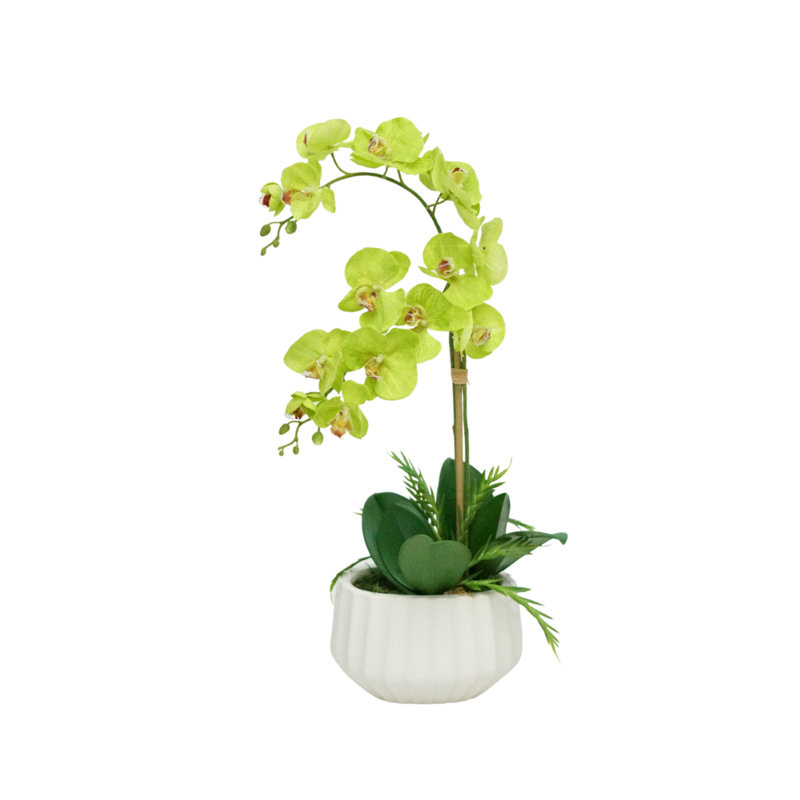 Fausse fleur d'orchidée verte dans un pot en céramique nervuré blanc effilé