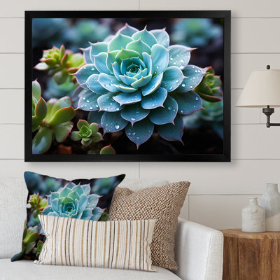 Bleu succulent serein