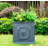 Hillevi Planter-1661493425-1661493422