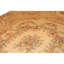 Hand Knotted Area Rug in Beige