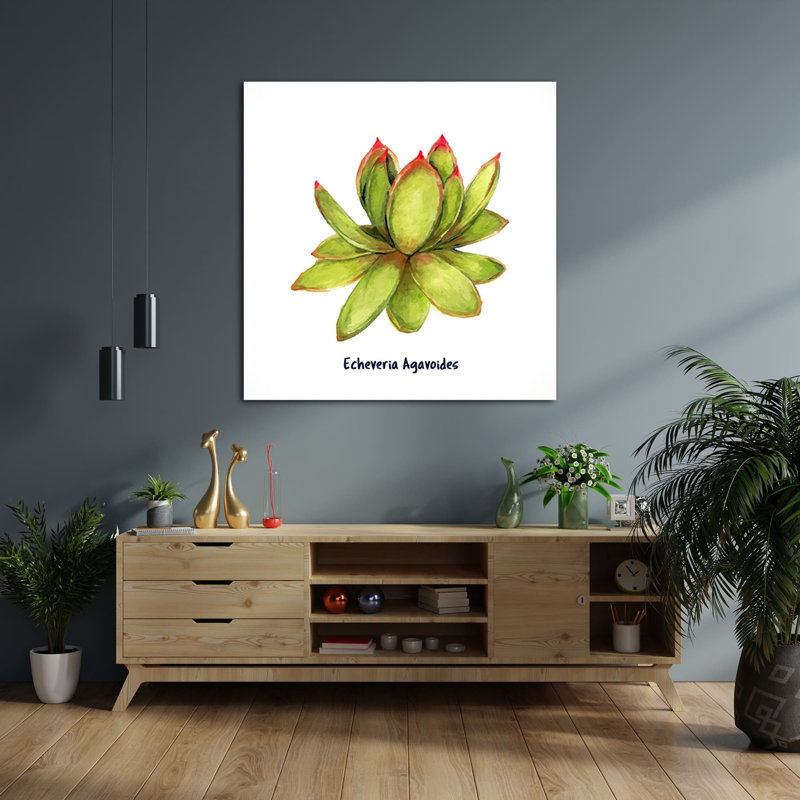 Echeveria Laui I - impression sur toile tendue, H 12 po x l 12 po x P 1,5 po